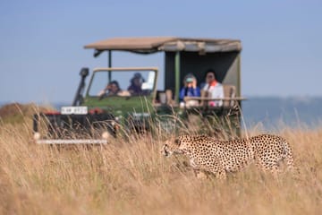 Maasai Mara National Reserve Fly-In Safari Day Trip