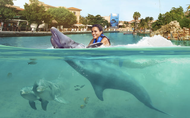 Riviera Maya Puerto Aventuras - Dolphin Connection