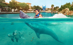 Dolphin Swim Adventure Plus in Riviera Maya