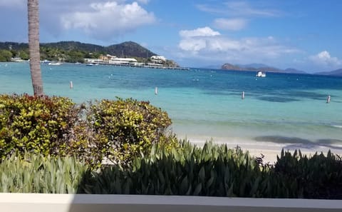 Private Island Drive Tour with Sapphire Beach in St. Thomas