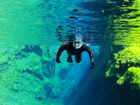 Wetsuit Snorkeling in Silfra - with underwater photos / From Reykjavik , photo 7