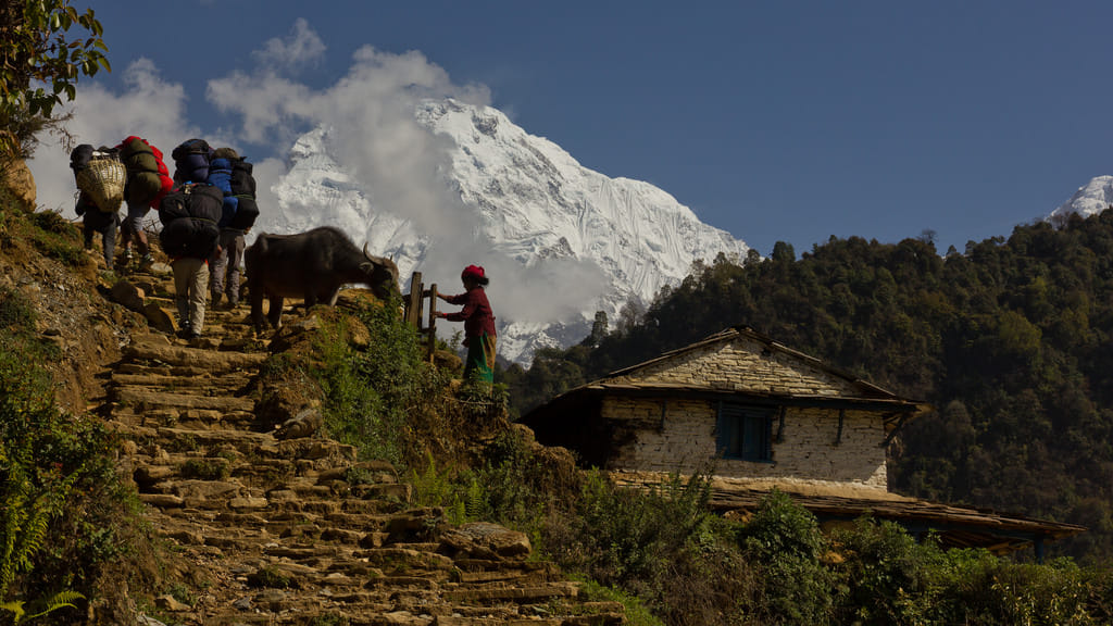 19 Days Mera Peak Climbing & Expedition – One Life-Changing Himalayan Adventure