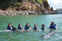 Dolphin Swim Adventure at St.Kitts 3