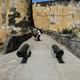 Fort Jesus
