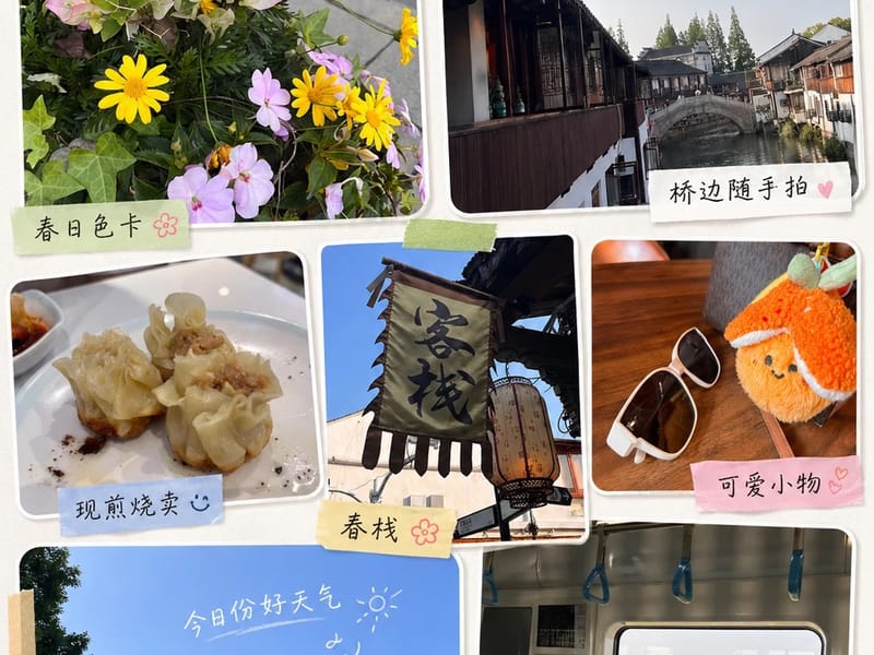 Shanghai: Zhujiajiao Water Town & Yuandang Lake Cycling Trip