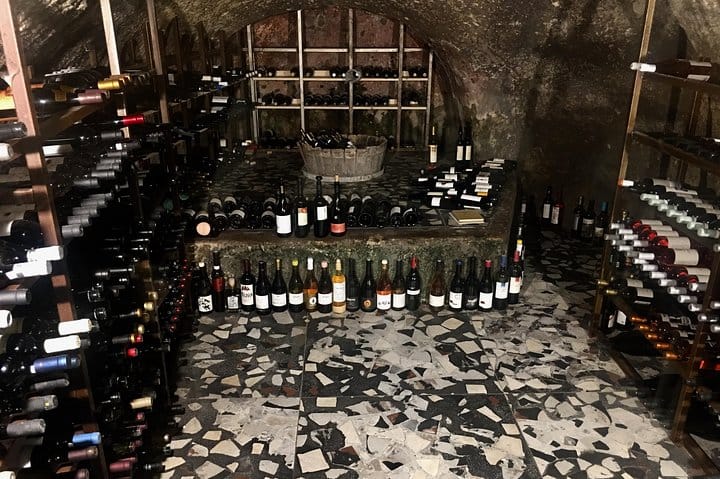 Vip Tour Giza pyramids, sphinx with Camel Ride and Vip lunch