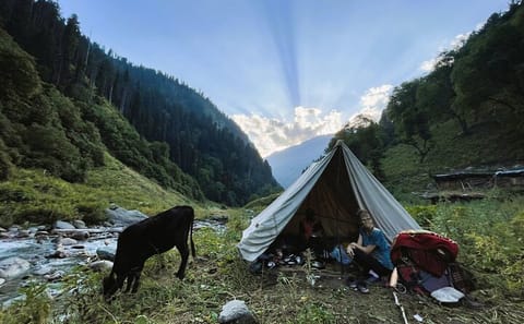 Private 5-Day Guided Trek in Kashmir's Naranag and Dumail