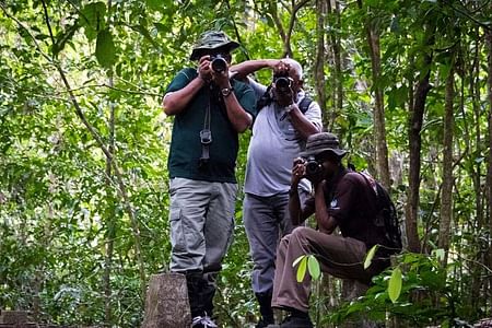 Guided Trekking Adventure in Kanneliya Forest Reserve