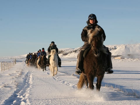 02B - The Siggi Tour, photo 5