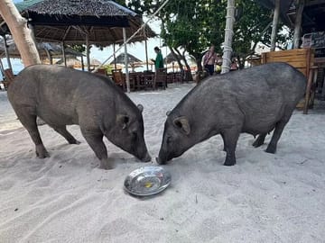 Private Fishing and Snorkeling Trip to Koh Tan and Koh Madsum