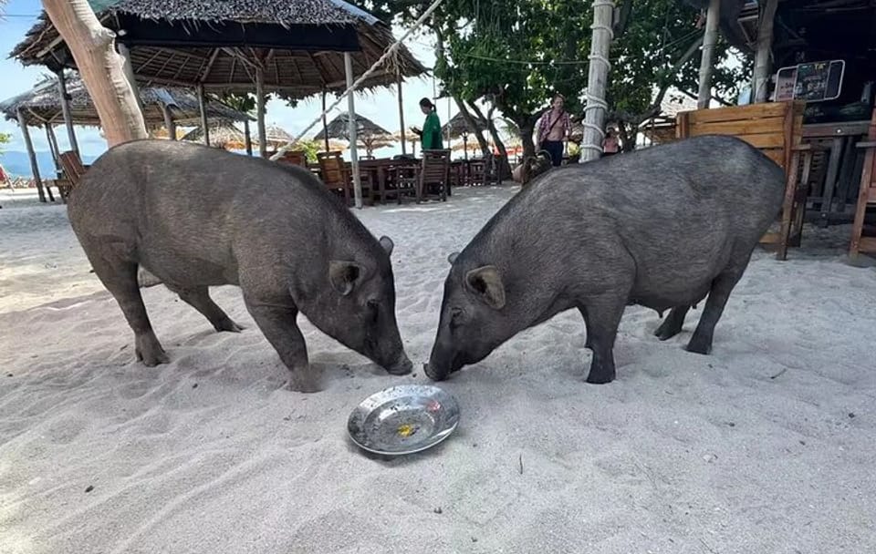 Private Fishing and Snorkeling Trip to Koh Tan and Koh Madsum