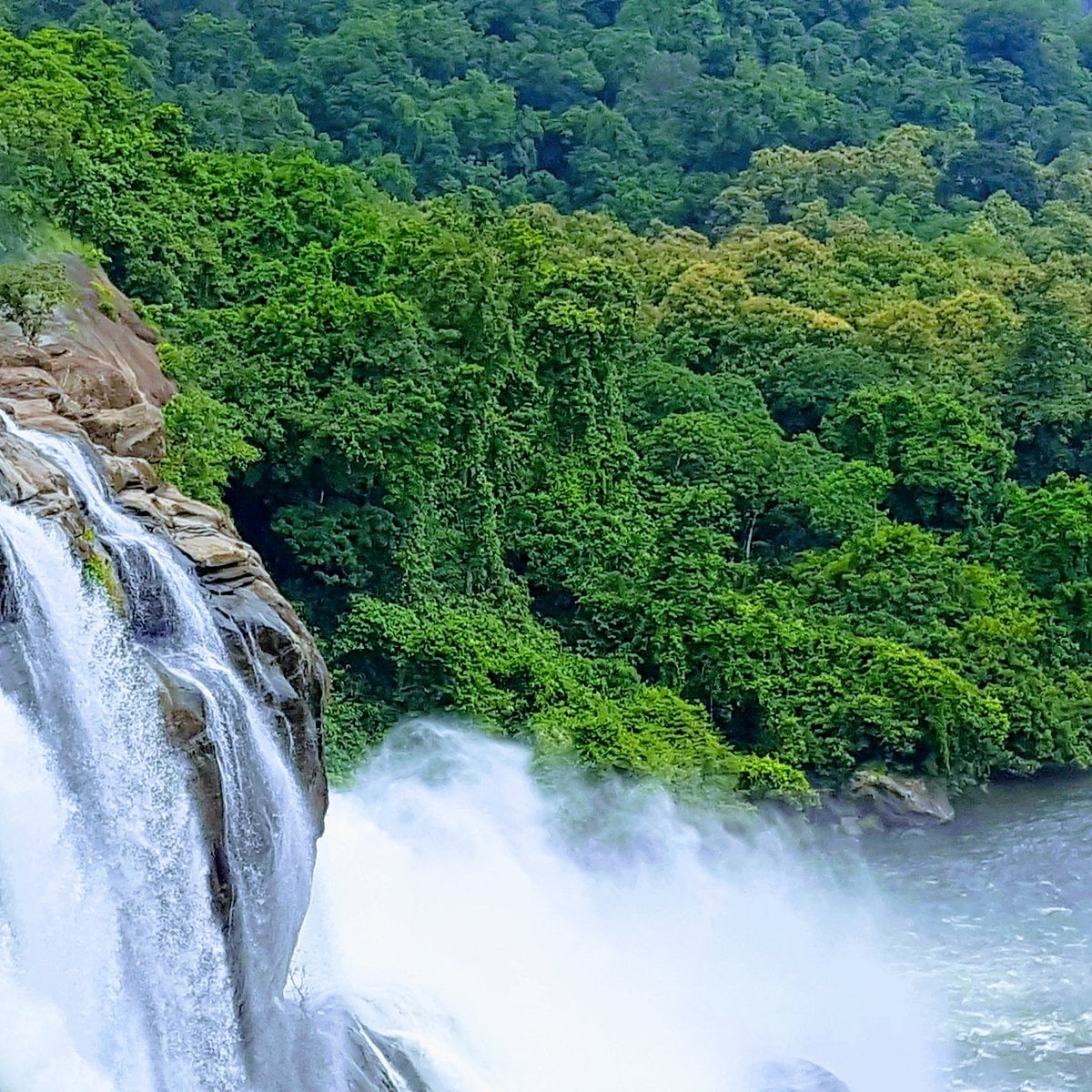 Waterfall beside lush forest in Athirappilly, Kerala