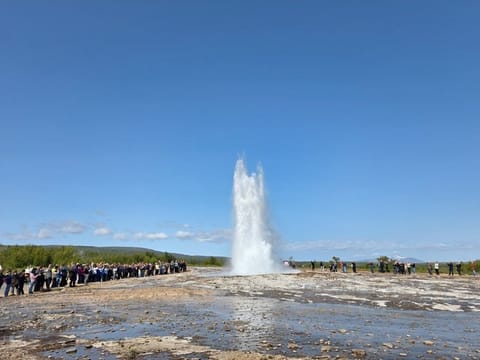 Golden Circle Private Tour From Reykjavik, photo 2
