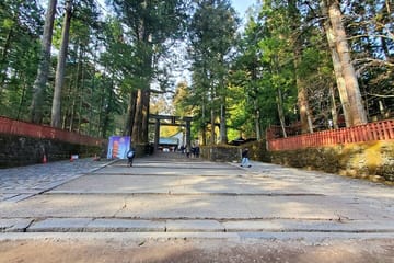 Tokyo to Nikko English Guided Private Tour