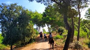 Horse riding in Sedini in the territory of Castelsardo