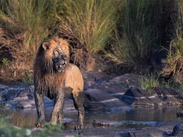 Private 3-Day Safari Adventure in Murchison Falls, Uganda