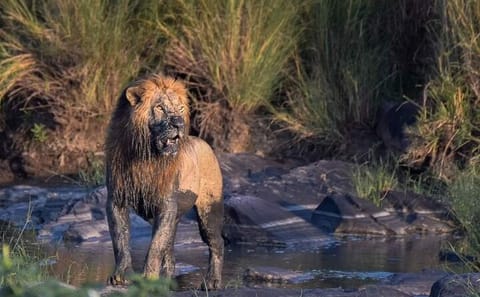 Private 3-Day Safari Adventure in Murchison Falls, Uganda
