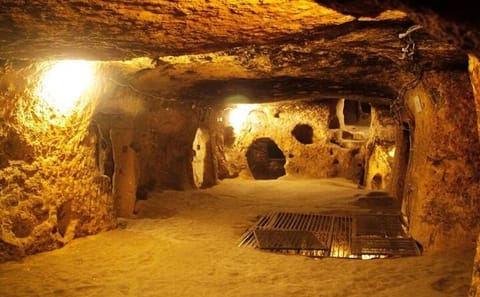 Cu Chi Tunnels Half-Day Tour from Ho Chi Minh City