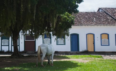 Walking Tour of Historic Landmarks in Paraty City Center