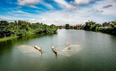 Historical Day Tour of Hue, Vietnam with Guided Insights