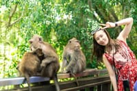 Ubud: Monkey Forest, Jungle Swing, Rice Terrace and Water Temple 6
