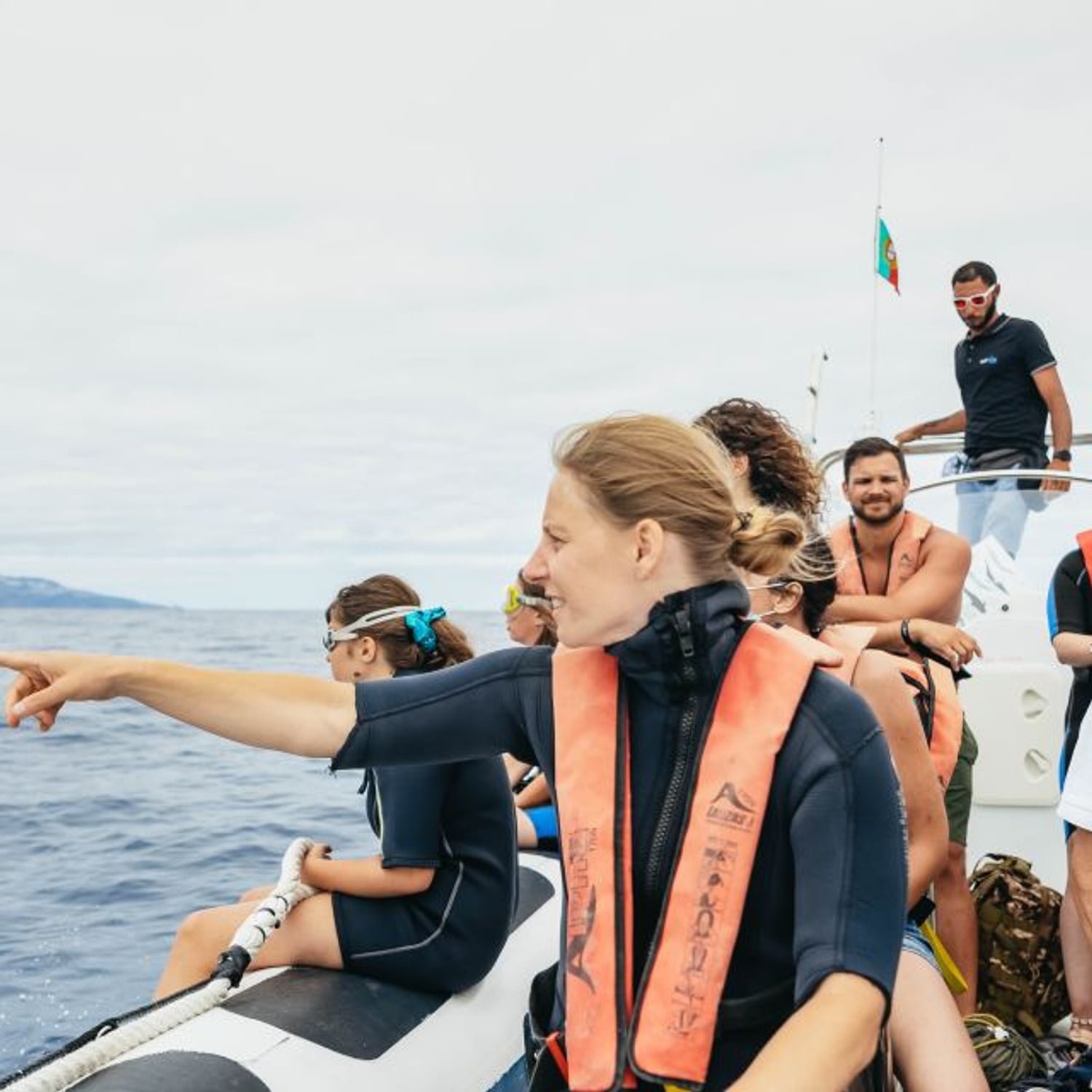 Dolphins/Whales Experience
