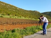 The Endless Vineyards of Nemea