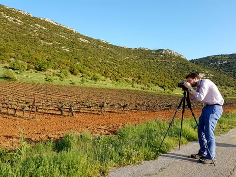 Private Nemean Wine Tour, Ancient Nemea & Mycenae from Athens