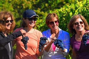 Tenuta Torciano Wine Tour in Tuscany - visit two wineries and San Gimignano