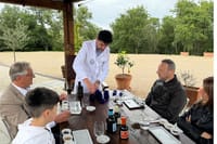 Olive Oil Tours and Tasting at Frantoio di Montalcino 6