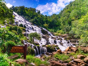 One Day Doi Inthanon National Park