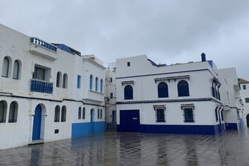 Asilah Day Trip from Tangier Kasbah, Medina : Lunch & Tangier