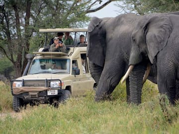 See Big 5 at Tanzania parks
