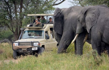 5Days Best Camping Safari in Tanzania Parks