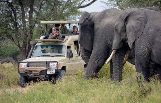 5Days Best Camping Safari in Tanzania Parks