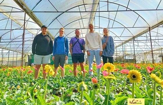 Da Lat Countryside & Pongour Waterfall Tours ( small group)