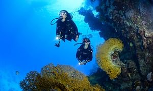 Full Day Fun Dive Open Water Within 18 Meter Depth at Tulamben Sea 