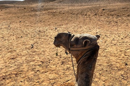 Giza Pyramids, Memphis and Sakkara Pyramids Private Day Tour