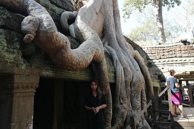 Ta Prohm Temple Tour
