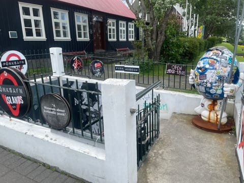Private Icelandic Punk History Experience, photo 2