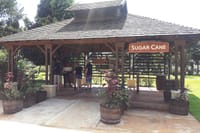 THE SUGAR CANE TASTING STATION