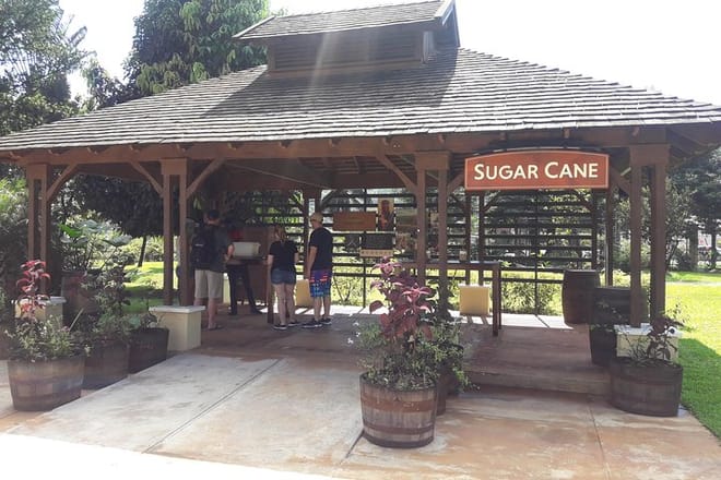 THE SUGAR CANE TASTING STATION