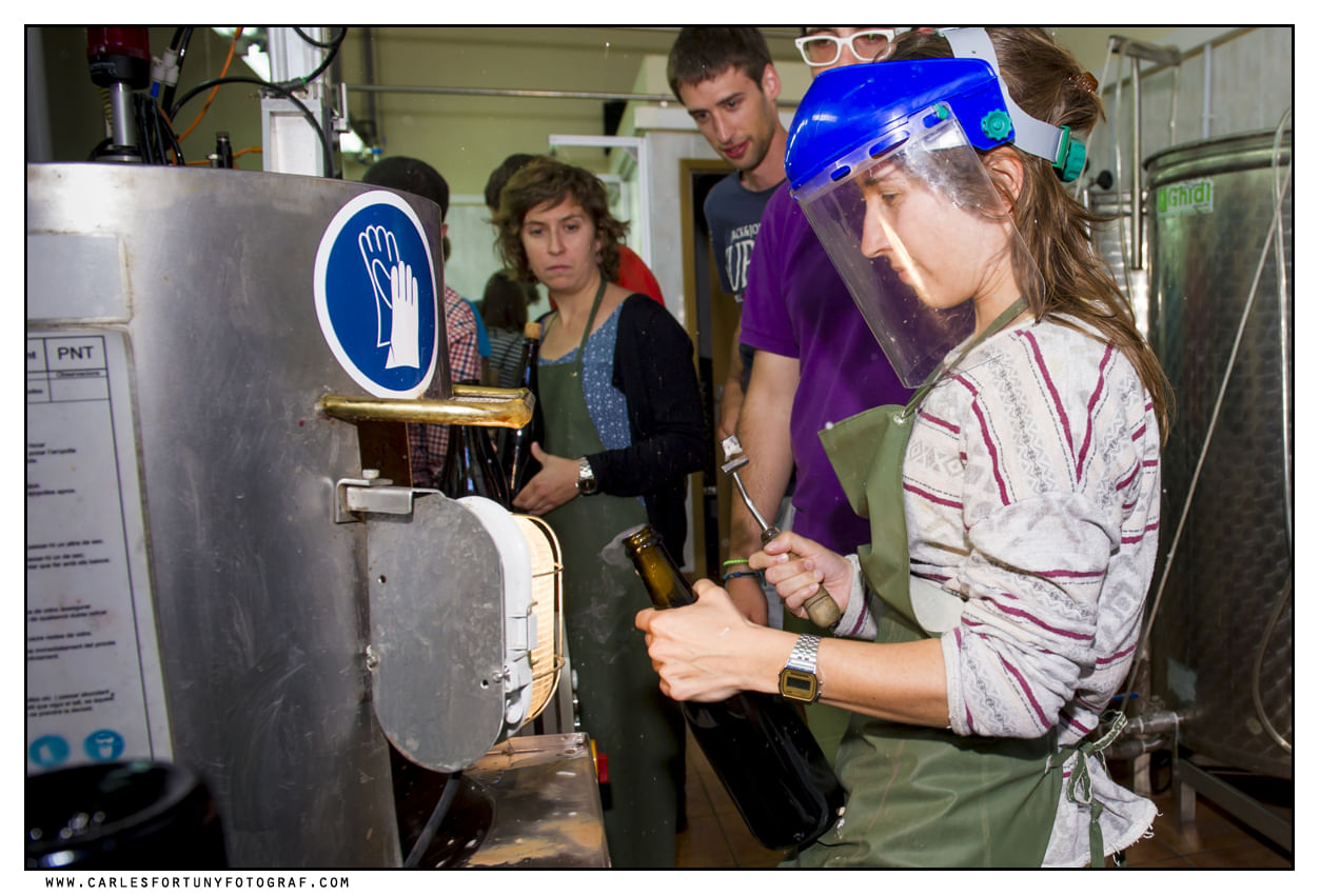 Book Make your own cava workshop from Barcelona