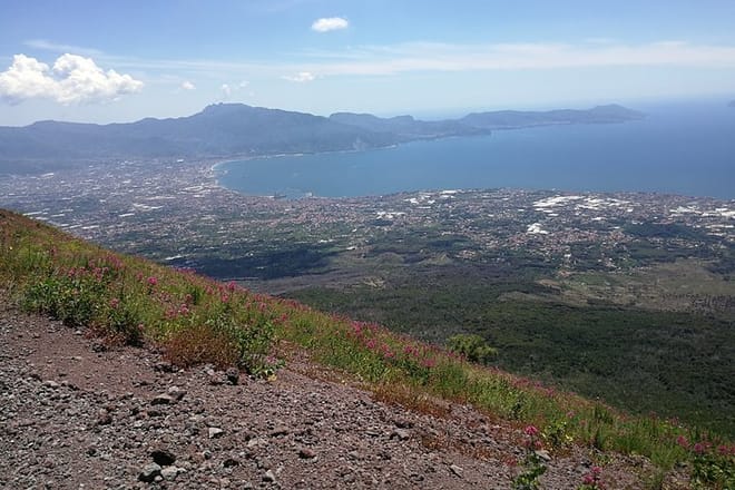 Half day to Mount Vesuvius (4 hours) 4