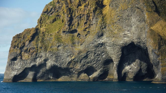 Private Westman Islands Day Tour photo 4