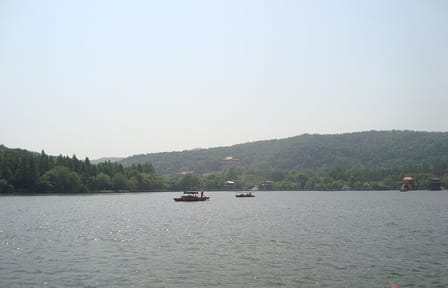 Shanghai to Hangzhou one day bullet train tour with Chinese lunch