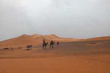 Camel Ride at Sunset in Merzouga Dunes, Morocco