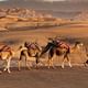 Magical dinner show and camel ride & Quad Bike in Agafay desert