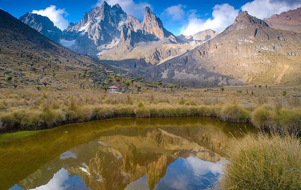 Full Day Tour in Mount Kenya from Nairobi