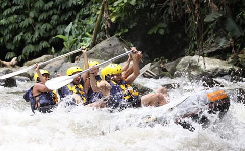 Rafting Adventure on the Ayung River in Ubud, Bali with Lunch
